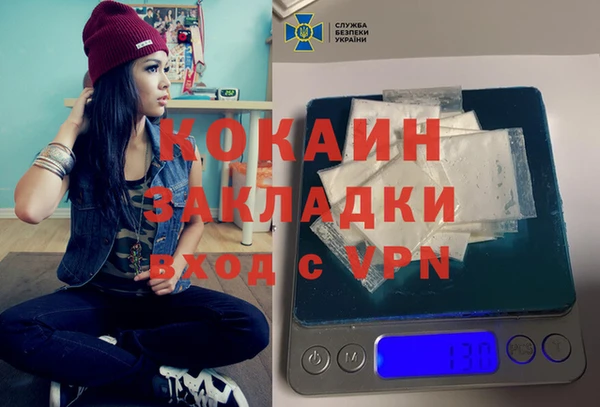 PSILOCYBIN Корсаков