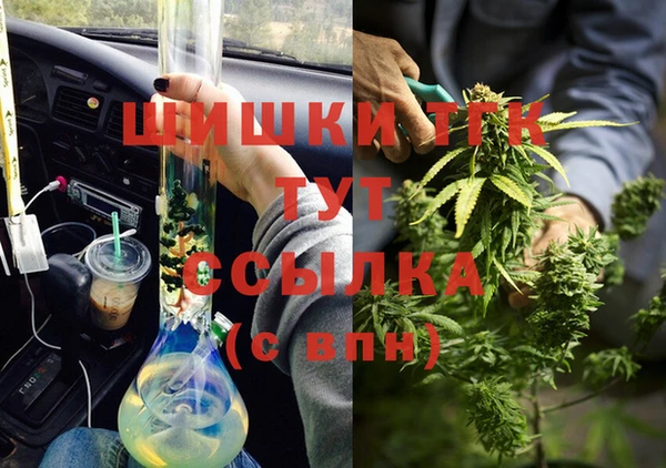молекула духа Краснослободск