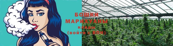 PSILOCYBIN Корсаков