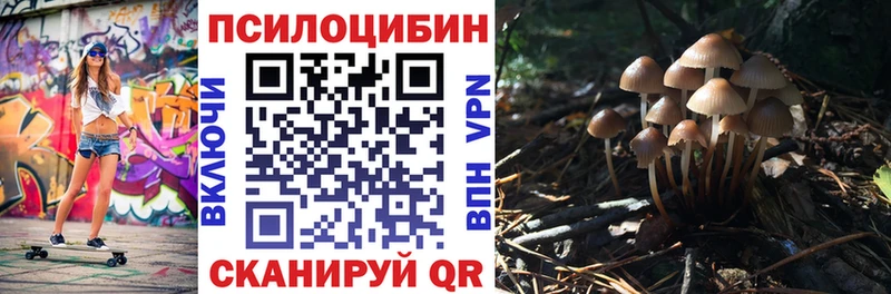 Псилоцибиновые грибы GOLDEN TEACHER Купить где Валдай